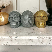 Resin Skull Silver