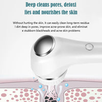 Electric Facial Cleansing Brush EMS Lifting and Introduction Massager