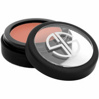 USA ONLY CREAM TO POWDER BLUSH BLUSHING