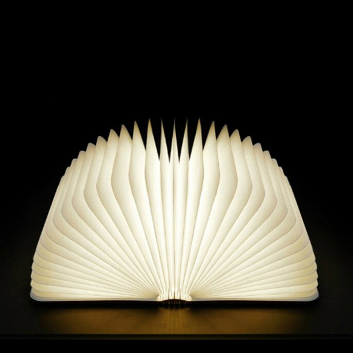 Mini LED Book Light