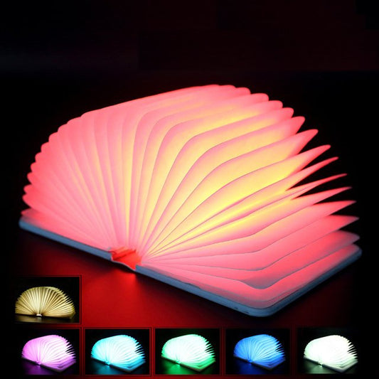 Mini LED Book Light