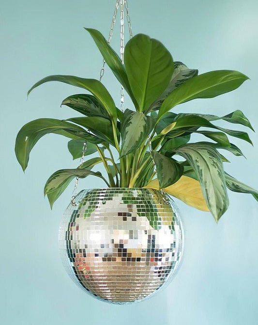 Eclectic Whimsical Disco Ball Hanging Herb Planters for Indoor,